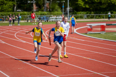 IMG_3564