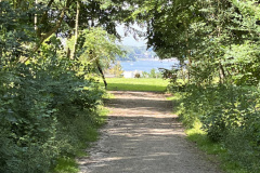 Foto-24.07.24-14-11-08