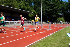 Anton-110m-Huerde-Lauf-II