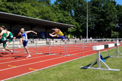 Anton-110m-Huerde